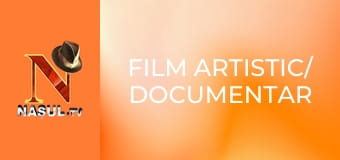 Film artistic/ documentar
