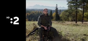 Zázračný miniateliér E51 - Jarné zeleninové rolky