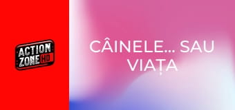 Câinele... sau viața