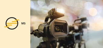 Csoóri sorozat E5 - Angyalföldi Vadrozé