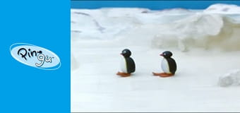 The Pingu Show Sezon 1 Odcinek 34