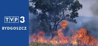 Eko na serio E6 - Co Certyfikat Produkcji Ekologicznej EU oznacza dla środowiska?