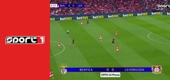 Labdarúgás - Benfica - Bayer Leverkusen