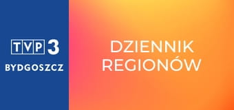 Dziennik regionów Dziennik regionów