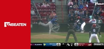 American Association of Professional Baseball