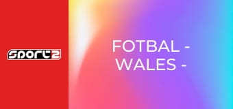 Fotbal - Wales - Bosna a Hercegovina