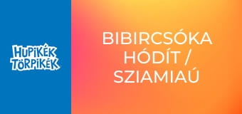 Bibircsóka hódít / Sziamiaú csengettyűje