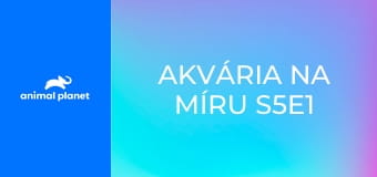 Akvária na míru S5E1 - Akvárium pro loutky podle Jeffa Dunhama