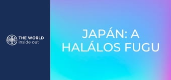 Japán: a halálos fugu gömbhal és a robotok városa.