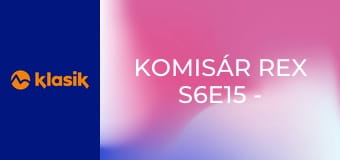 Komisár Rex S6E15 - Lúče pomsty
