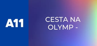 Cesta na Olymp - Dominika Hronová, taekwondistka