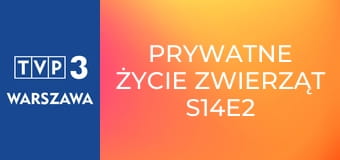 Prywatne życie zwierząt S14E2 - Koty, kotki, koteczki