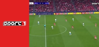 Labdarúgás - Benfica - Napoli