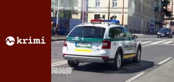 Policajné prípady S2E3 - Vojna o dedičtvo, Domový pokoj,Prostitútka, Teenagerka
