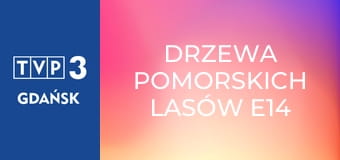 Drzewa pomorskich lasów E14