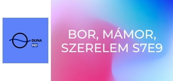 Bor, mámor, szerelem S7E9