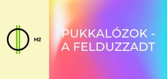 Pukkalózok - A felduzzadt adósság