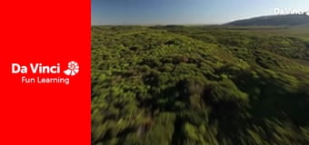 Siyaya - Wildest Cape - De Hoop - Place Of Hope