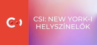 CSI: New York-i helyszínelők S9E9 - Küldetésben