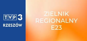 Zielnik regionalny E23