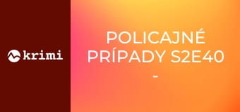 Policajné prípady S2E40 - Vďačnosť, Darček pre synovca, Záloha, Otázky na test