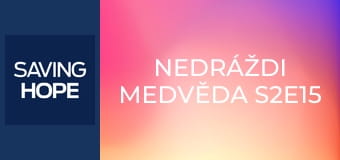 Nedráždi medvěda S2E15