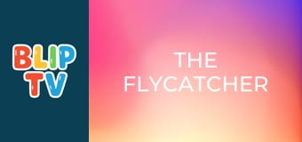 The Flycatcher