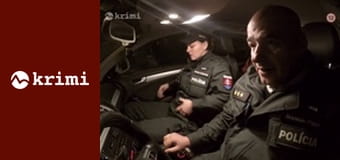 Policajné prípady S2E55 - Otčim, Vendeta, Navlas rovnakí, Nesprávna fľaštička