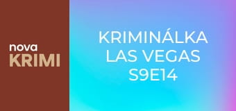 Kriminálka Las Vegas S9E14 - Justiční omyl
