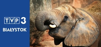 Prywatne życie zwierząt S3E1 - Inspiracje z natury