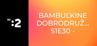 Bambuľkine dobrodružstvá S1E30 - Narodeniny