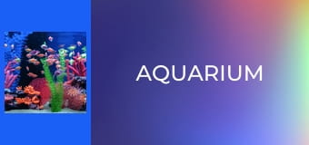 Aquarium
