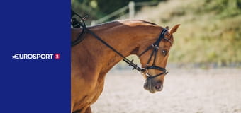 Echitaţie: Cupa Mondială sărituri peste obstacole Los Angeles