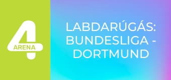 Labdarúgás: Bundesliga - Dortmund – Hamburg