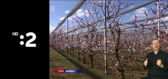 Správy - Hírek E53