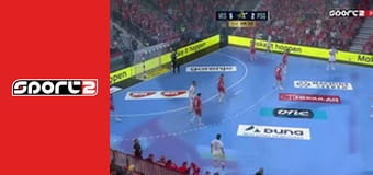 Házená - One Veszprém - PSG