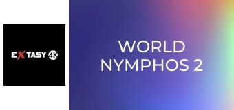 World Nymphos 2