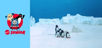 Pingu Sezonul 2 Episodul 22