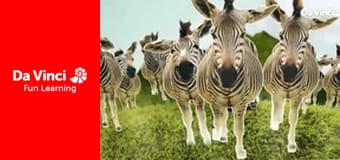 Siyaya: najdzikszy przylądek - Anysberg - ukryty klejnot Karru Małego