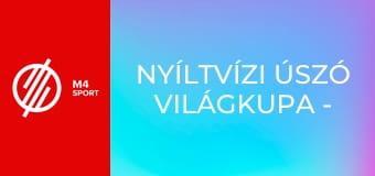 Nyíltvízi úszó világkupa - Férfi 10km