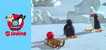 Pingu Sezonul 6 Episodul 17