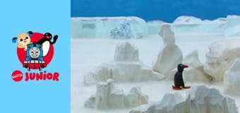 Pingu Sezonul 2 Episodul 8