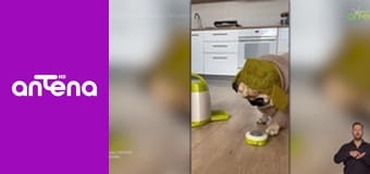 Zakręcone stworzonka z Internetu S1E5