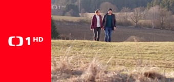 Petr Novák a Olympic