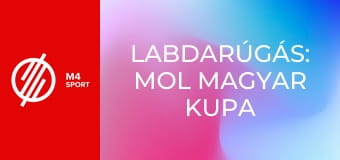 Labdarúgás: MOL Magyar Kupa - ZTE FC – Soroksár SC mérkőzés