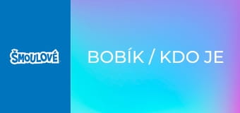 Bobík / Kdo je maskovaný šmoula