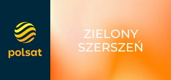 Zielony Szerszeń