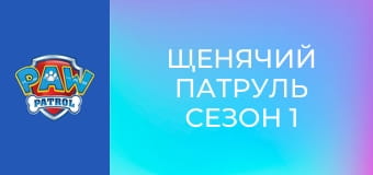 Psi Patrol Sezon 1 Odcinek 20