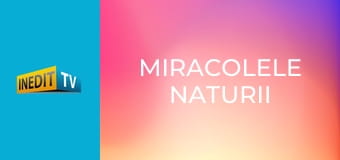 Miracolele naturii