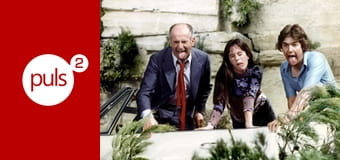 Zawieszeni na drzewie